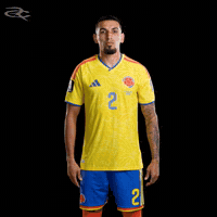 Fifa World Cup Colombia GIF by Respective