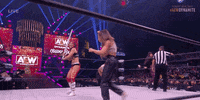 Hikaru Shida Wrestling GIF by AEWonTV