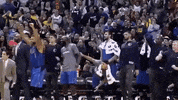 dallas mavericks bench celebration GIF by NBA
