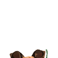 WalksWithAlex dog tongue out dog walking dog walker Sticker