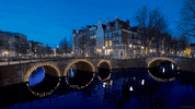 water night GIF by Living Stills