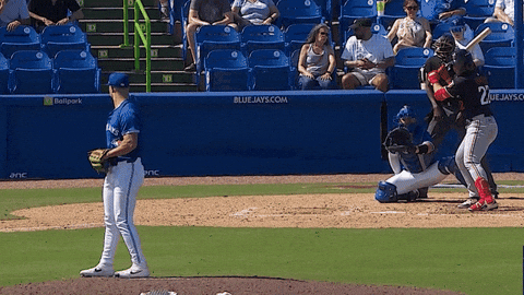 Blue Jays Baseball GIF by Toronto Blue Jays