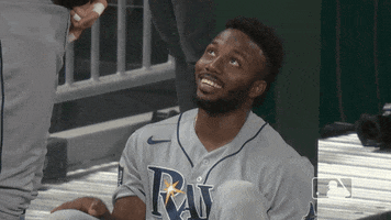Happy Major League Baseball GIF by MLB