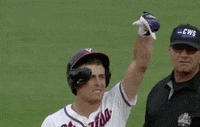 Baseball College GIF by NCAA Championships
