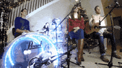 GIF by Giffffr