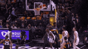Nba Finals Sport GIF by NBA