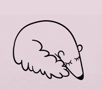 Ant Anteater GIF
