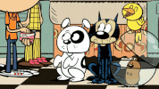 the loud house pets GIF by Nickelodeon