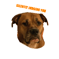 Lincoln Maayan Sticker by vivelemerde