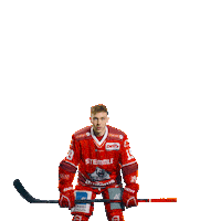 Goal Win Sticker by Eisbären Regensburg