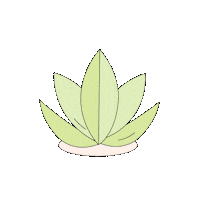 Aloe Vera Baby Sticker by Aqua Wipes