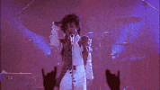 purple rain prince GIF