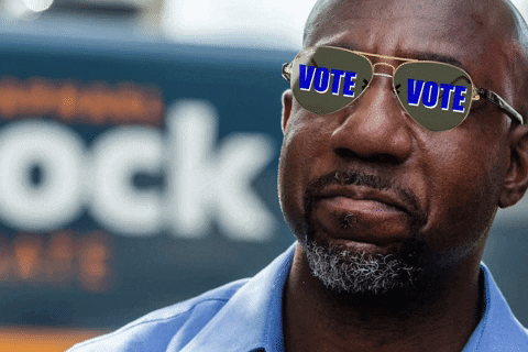 transgreaser vote 2022 georgia democracy GIF