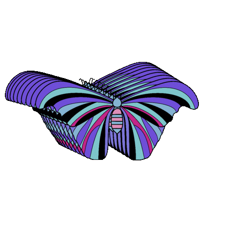 Butterfly Animation