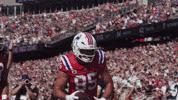 Hunter Henry Football GIF by New England Patriots
