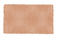 Shape Sticker by Jungalow®