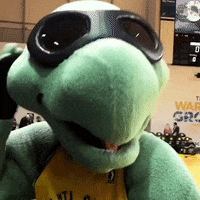 Dance Dancing GIF by Santa Cruz Warriors