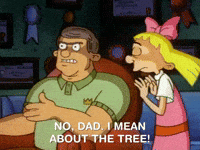 hey arnold nicksplat GIF