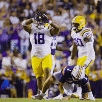 College Football GIF by LSU Tigers