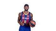 Fc Barcelona Basketball Sticker by ACB