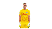 Football What Sticker by Holstein Kiel