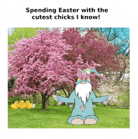 Easter Gnomes GIF
