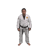 Bjj Jiujitsu Sticker by ghbrownsville