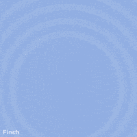 Celebrate Happy Sunday GIF by Finch Care