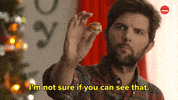 Adam Scott Christmas GIF by BuzzFeed