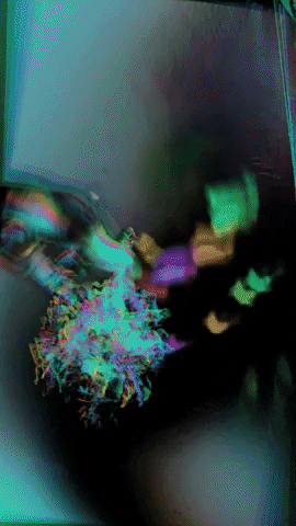 Rainbow Twitching GIF by Mollie_serena
