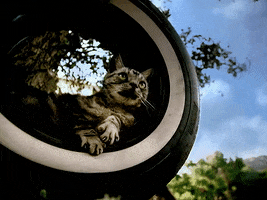 Reaching Out Big Boi GIF by Outkast