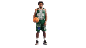 Basketball Hoops Sticker by Basket_fi