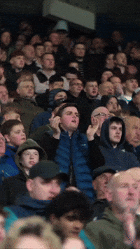 West Brom Fans GIF by West Bromwich Albion