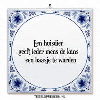 Band Humor GIF by Tegelspreuken.nl