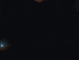 Chicken Shop Amelia GIF by WHATMORE