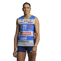 Volleyball Sticker by ImocoVolley