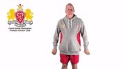 CaseySouthMelbourneCC swans csmcc caseysouthswans GIF