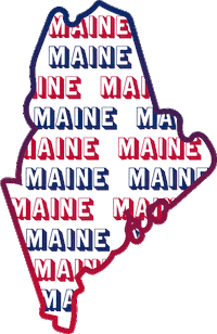 United States Usa Sticker
