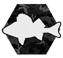 Fishing Zander Sticker by Yuki Competition