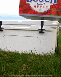 Apples Busch Light GIF by Busch Beer