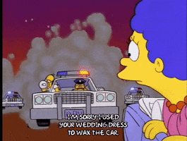 homer simpson episode 6 GIF