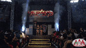 GIF by Lucha Libre AAA