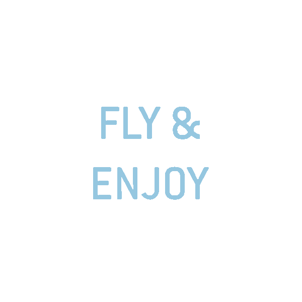 Piloto Aire Sticker by VirtualFly