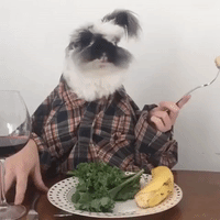 Bunny Enjoys Classy Dinner