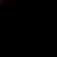 Meow Thank You GIF