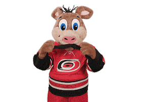 Ice Hockey Sticker by NHL