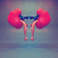 animation loop GIF by steamlog