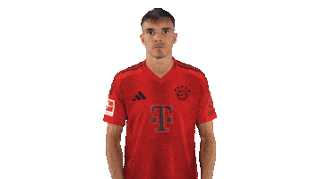 Fc Bayern Sticker by Bundesliga