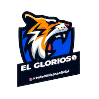 Baseball Republicadominicana Sticker by Television Dominicana