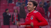 sl benfica laugh GIF by Sport Lisboa e Benfica